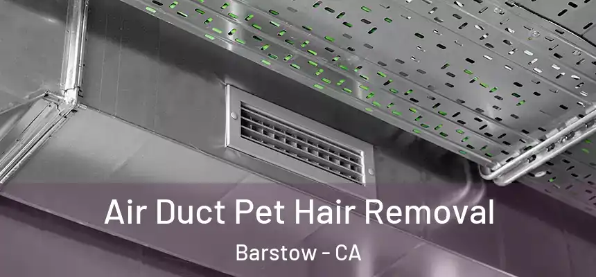  Air Duct Pet Hair Removal Barstow - CA