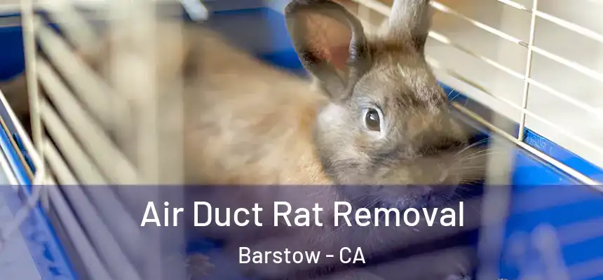  Air Duct Rat Removal Barstow - CA