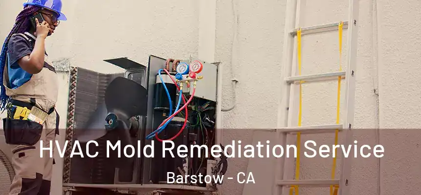 HVAC Mold Remediation Service Barstow - CA