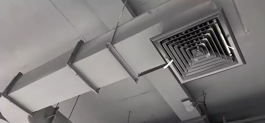 Restorative Allergy Relief Vent Cleaning – Coil, Blower & Housing Detail in Barstow