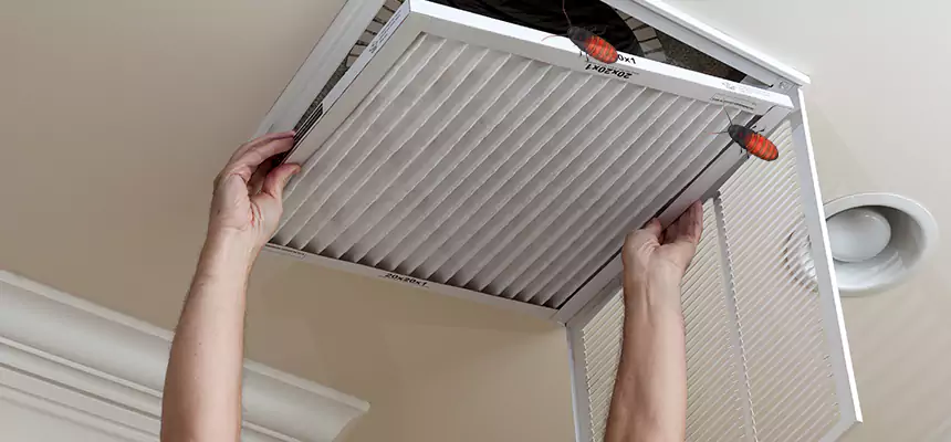 Our Insect Removal from Air Ducts Services in Barstow, CA