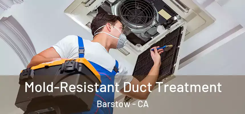  Mold-Resistant Duct Treatment Barstow - CA