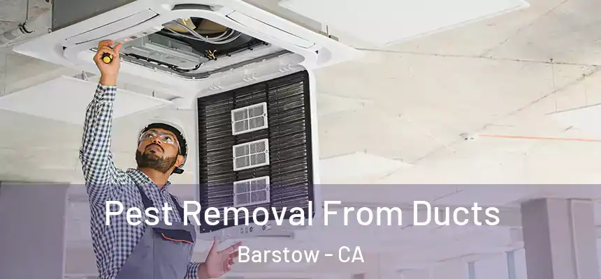  Pest Removal From Ducts Barstow - CA