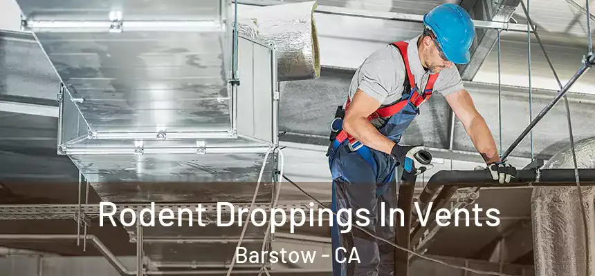  Rodent Droppings In Vents Barstow - CA
