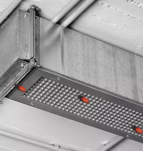 Affordable Insect Removal from Air Ducts in Barstow, CA