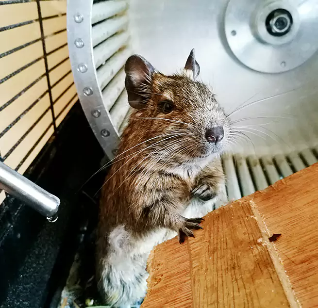 Why Homeowners & Businesses Trust Us Barstow, CA?